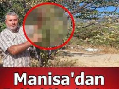 Köydeki ağacına bakmaya giden vatandaş gördüğü manzara ile d'ondu kaldı.