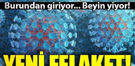 ABD'de 'beyin yiyen amip vakası' görüldü