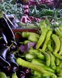  Kasımda fiyatı en fazla artan ürün patlıcan, en çok düşen karnabahar oldu