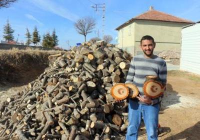 Kesilen ağacın gövdesinden çıkan ay yıldız figürü şoke etti